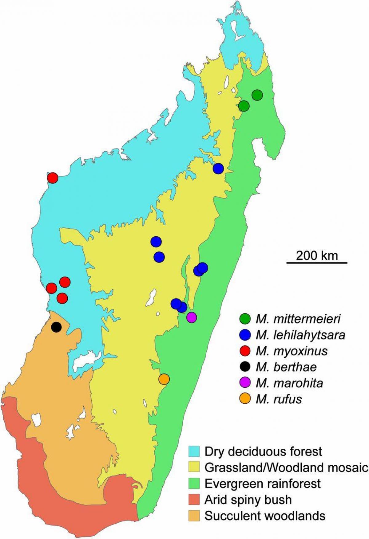 mapa Madagaskar prašume