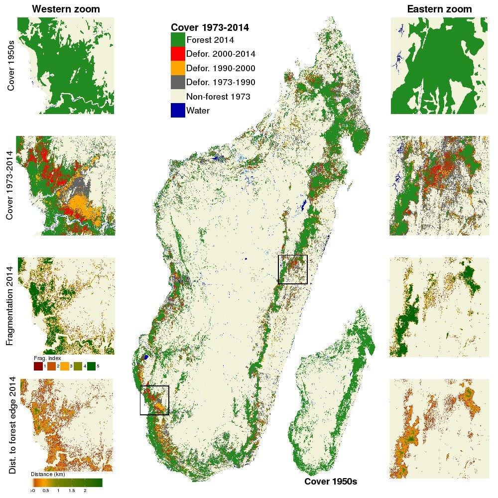 mapa Madagaskar šuma