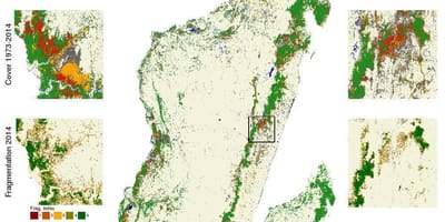 Mapa Madagaskar šuma