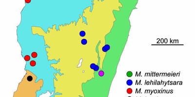 Mapa Madagaskar prašume