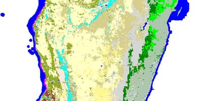 Mapa Madagaskar vegetacije